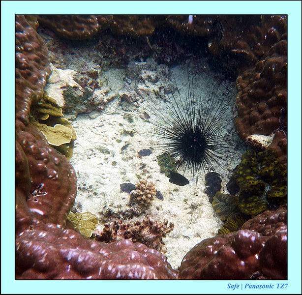 2011 - 07 - Koh Lipe 71